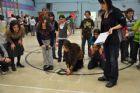 Expo-science Bell, finale locale - �cole primaire Carillon