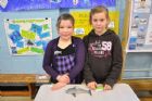 Expo-science Bell, finale locale - �cole primaire Carillon