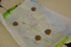 Camp de la rel�che des D�brouillards en Estrie