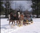Carnaval d'hiver - Dudswell