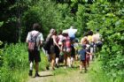 D�compte annuel des papillons