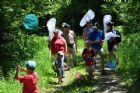 D�compte annuel des papillons