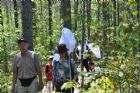 D�compte annuel des papillons