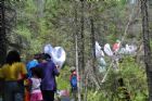 D�compte annuel des papillons