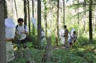 D�compte annuel des papillons