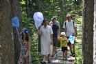 D�compte annuel des papillons