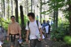 D�compte annuel des papillons