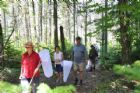D�compte annuel des papillons