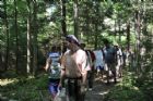D�compte annuel des papillons