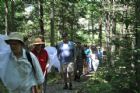 D�compte annuel des papillons