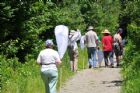 D�compte annuel des papillons