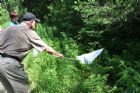 D�compte annuel des papillons