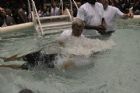 J�hovah - Assembl�e de district 2010