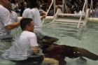 J�hovah - Assembl�e de district 2010