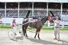 Courses de chevaux - Ayer's Cliff