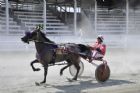 Courses de chevaux - Ayer's Cliff