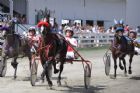Courses de chevaux - Ayer's Cliff