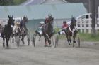 Courses de chevaux - Ayer's Cliff