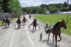 Courses de chevaux - Ayer's Cliff