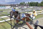 Courses de chevaux - Ayer's Cliff
