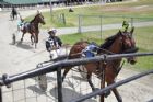 Courses de chevaux - Ayer's Cliff