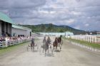 Courses de chevaux - Ayer's Cliff