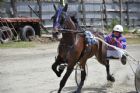 Courses de chevaux - Ayer's Cliff