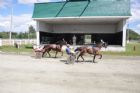 Courses de chevaux - Ayer's Cliff