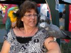 Travers�e internationale du lac Memphr�magog