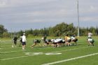 Vert et Or - Universit� de Sherbrooke