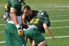 Vert et Or - Universit� de Sherbrooke