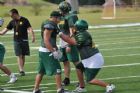 Vert et Or - Universit� de Sherbrooke