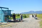 F�te du tournesol - Orford