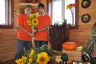 F�te du tournesol - Orford