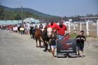 Exposition du comt� de Stanstead