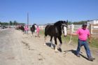 Exposition du comt� de Stanstead
