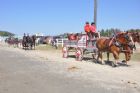 Exposition du comt� de Stanstead