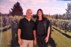 Albums souvenirs - vendredi 3 septembre - F�te des vendanges