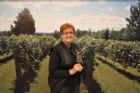 Albums souvenirs - samedi 4 septembre - F�te des vendanges