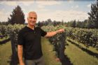 Albums souvenirs - samedi 4 septembre - F�te des vendanges