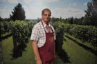 Albums souvenirs - lundi 6 septembre - F�te des vendanges