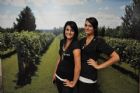 Albums souvenirs - lundi 6 septembre - F�te des vendanges