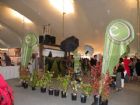 F�te des vendanges
