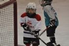 Journ�e des mascottes Novice-o-rama - Centre Julien Ducharme Sherbrooke