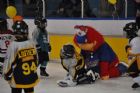 Journ�e des mascottes Novice-o-rama - Centre Julien Ducharme Sherbrooke