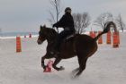 Derby d'attelage de Magog