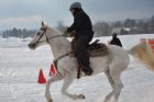 Derby d'attelage de Magog