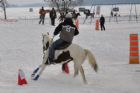 Derby d'attelage de Magog