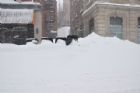 Importantes chutes de neige sur Sherbrooke