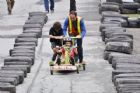 Grand prix scout de Brompton - Course de botes  savon arrondissement Brompton-Sherbrooke